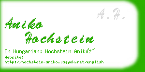 aniko hochstein business card